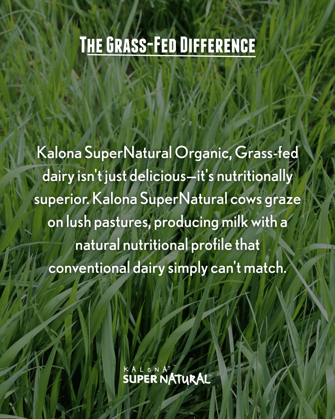 grass fed difference