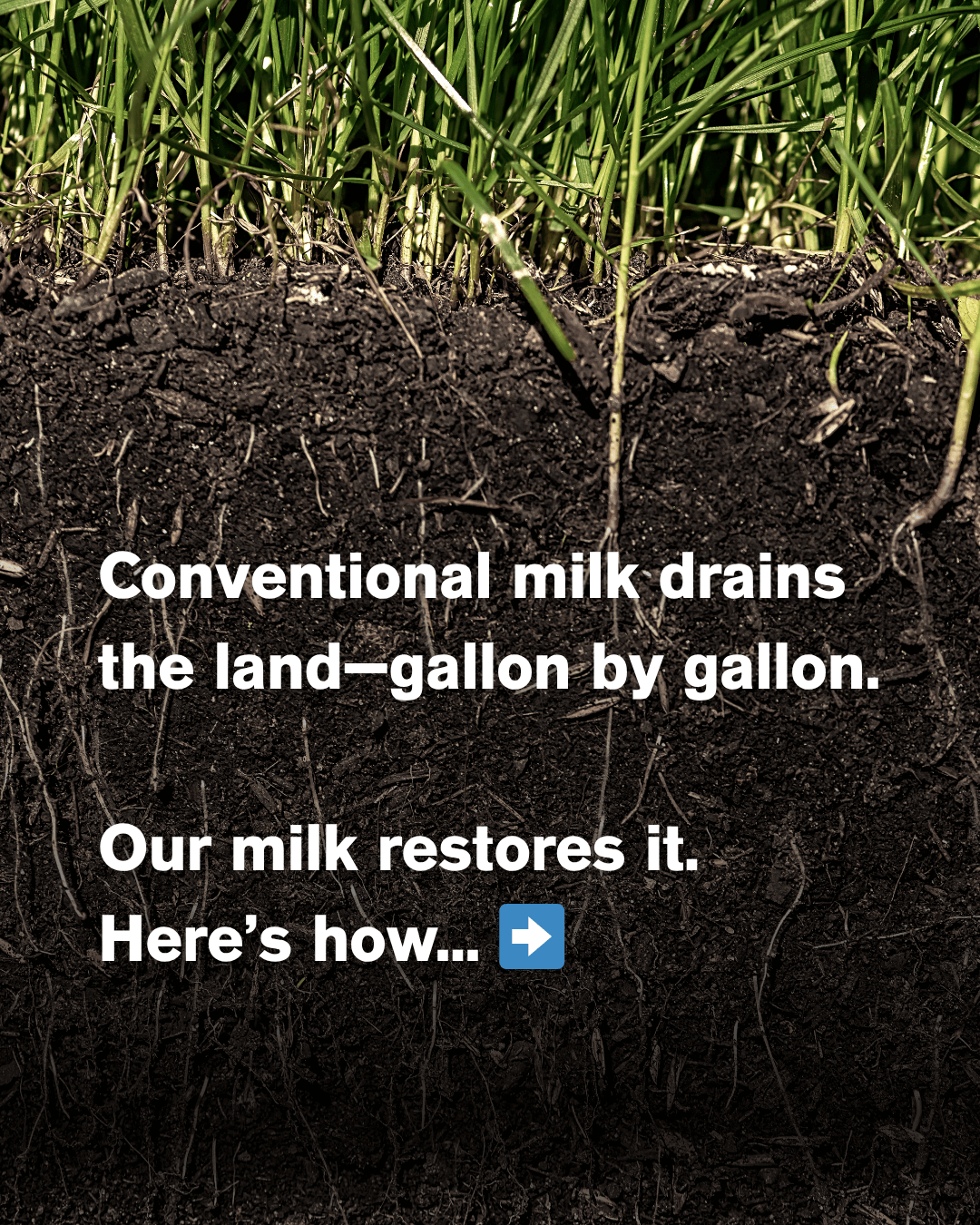 conventional milk drains the land