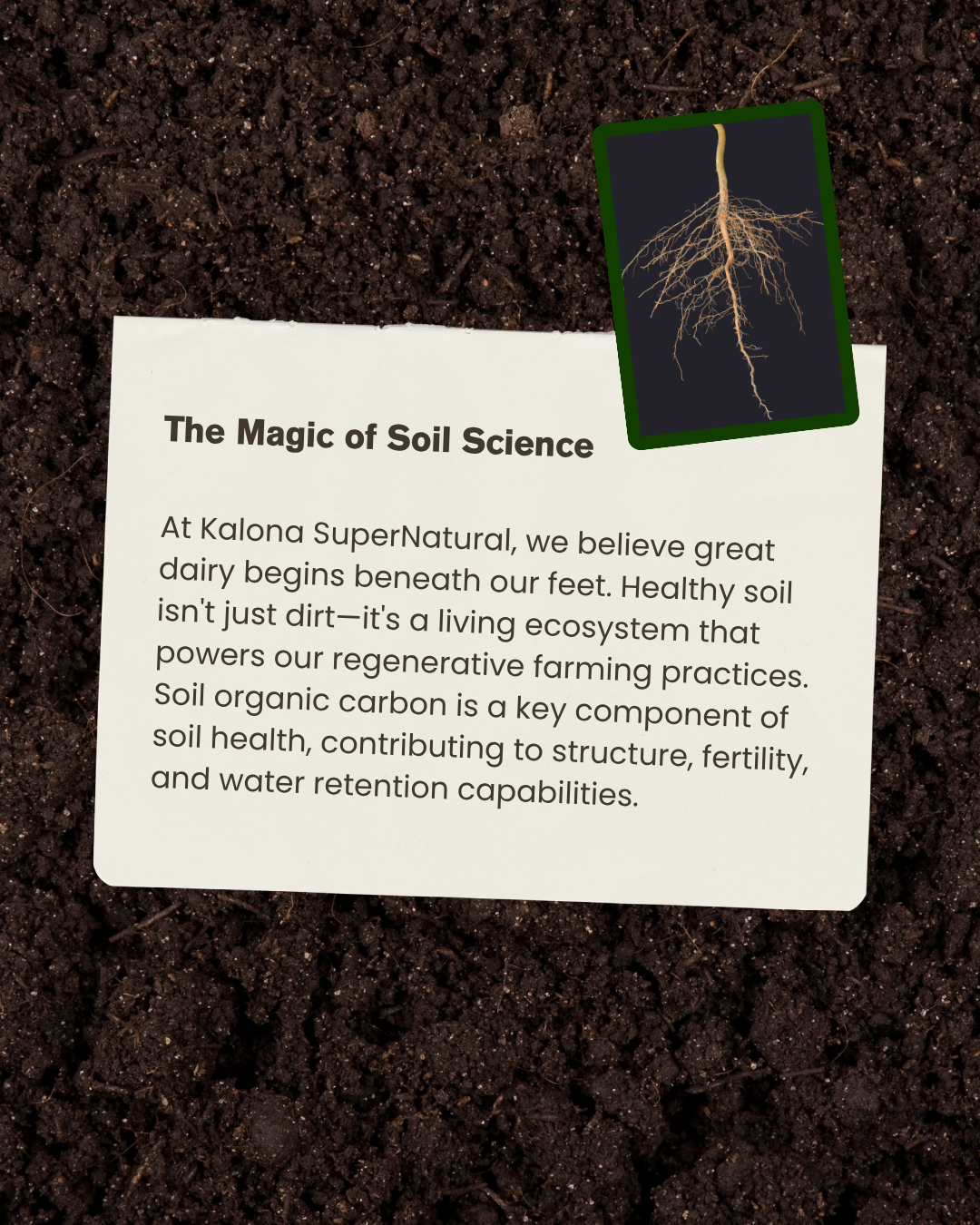 magic of the soil