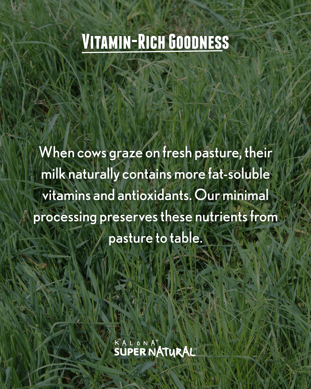 vitamin rich