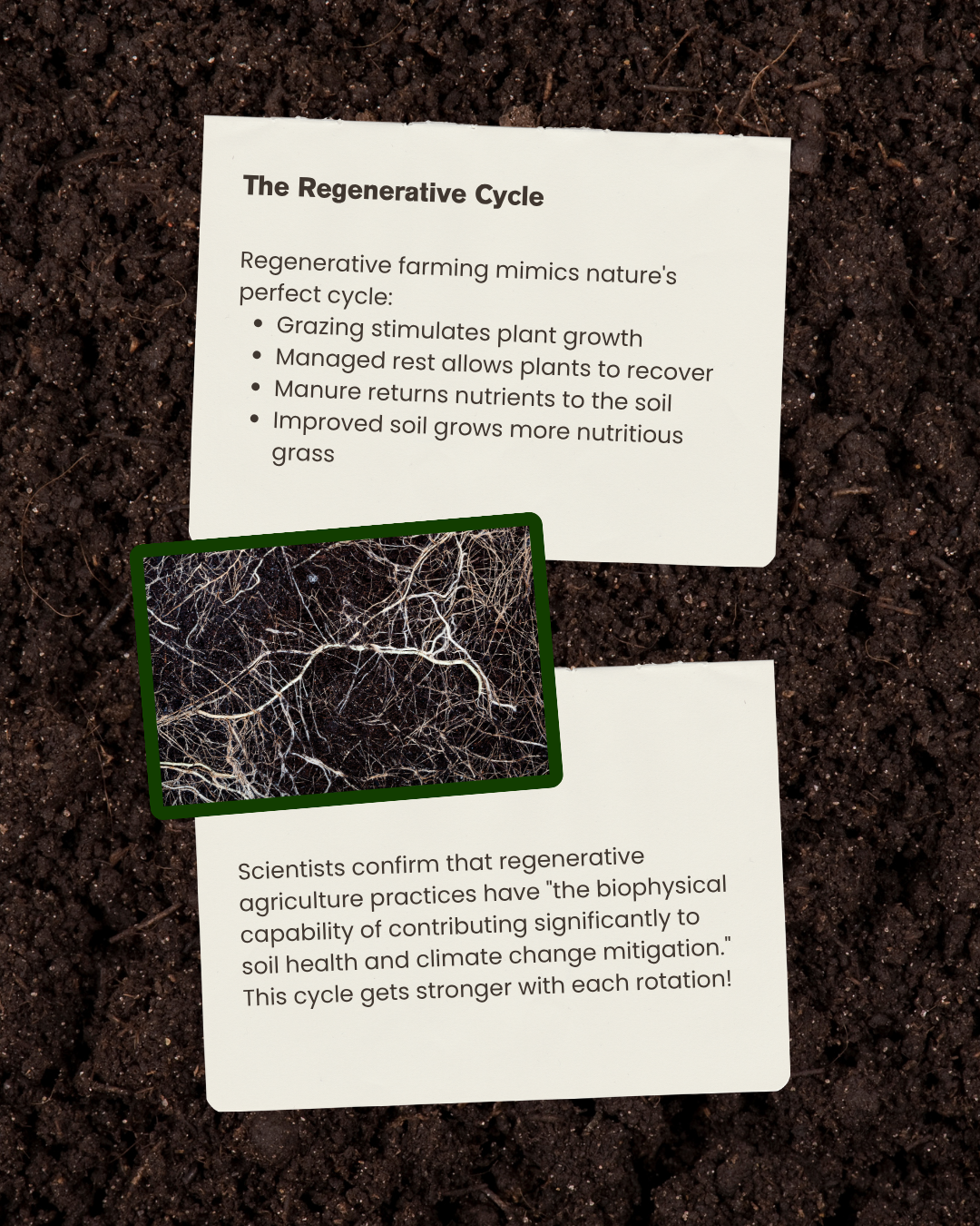 regenerative cylce