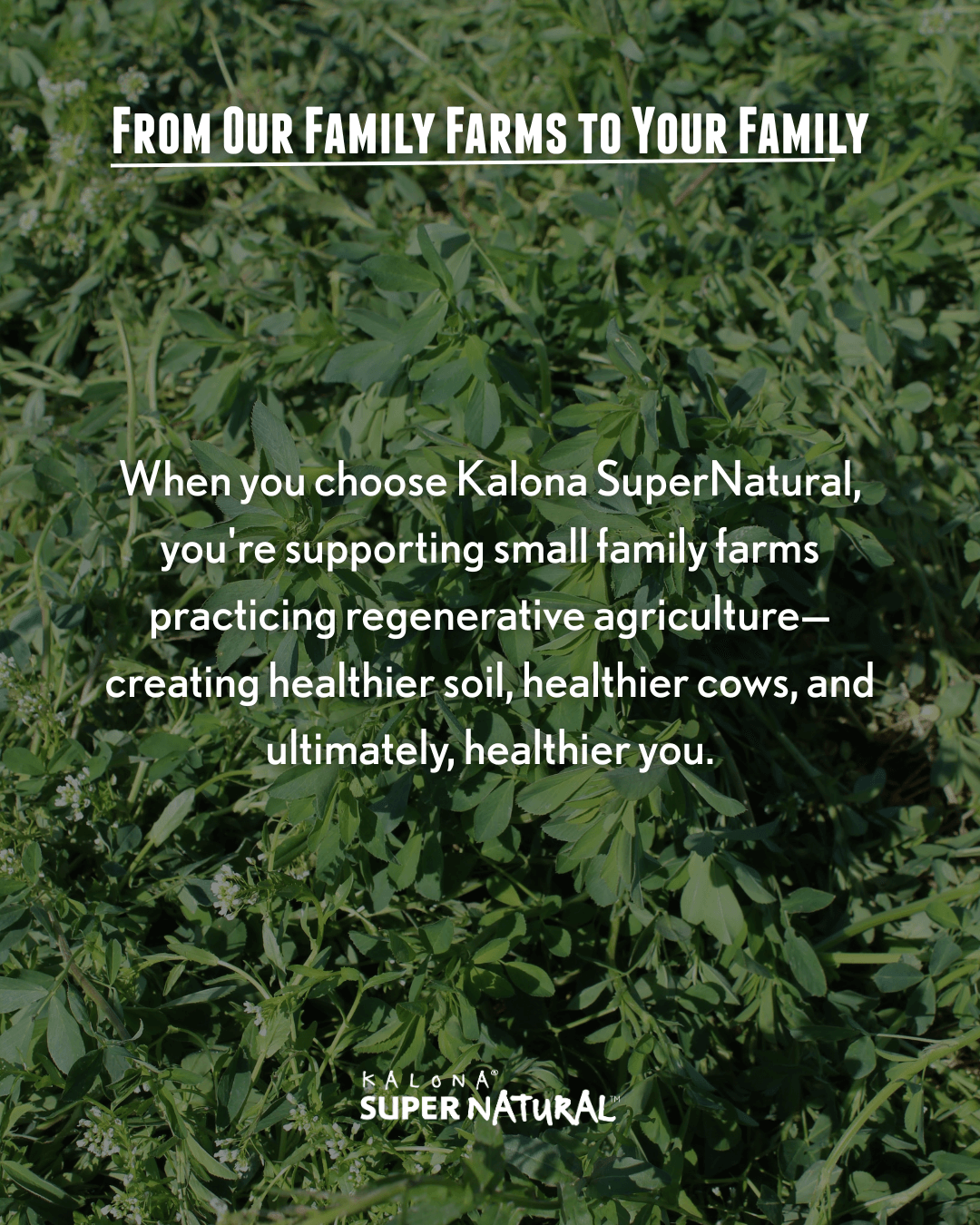 family farms