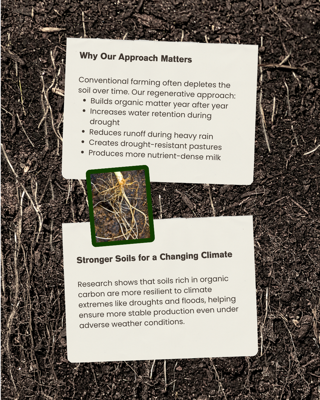 why our approach matters