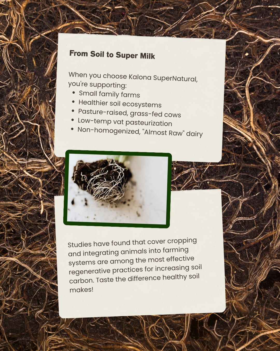 soil and milk