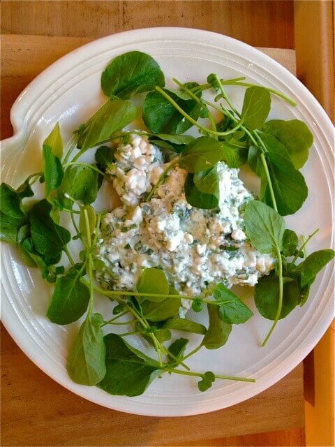 Cottage Cheese and Watercress Dip