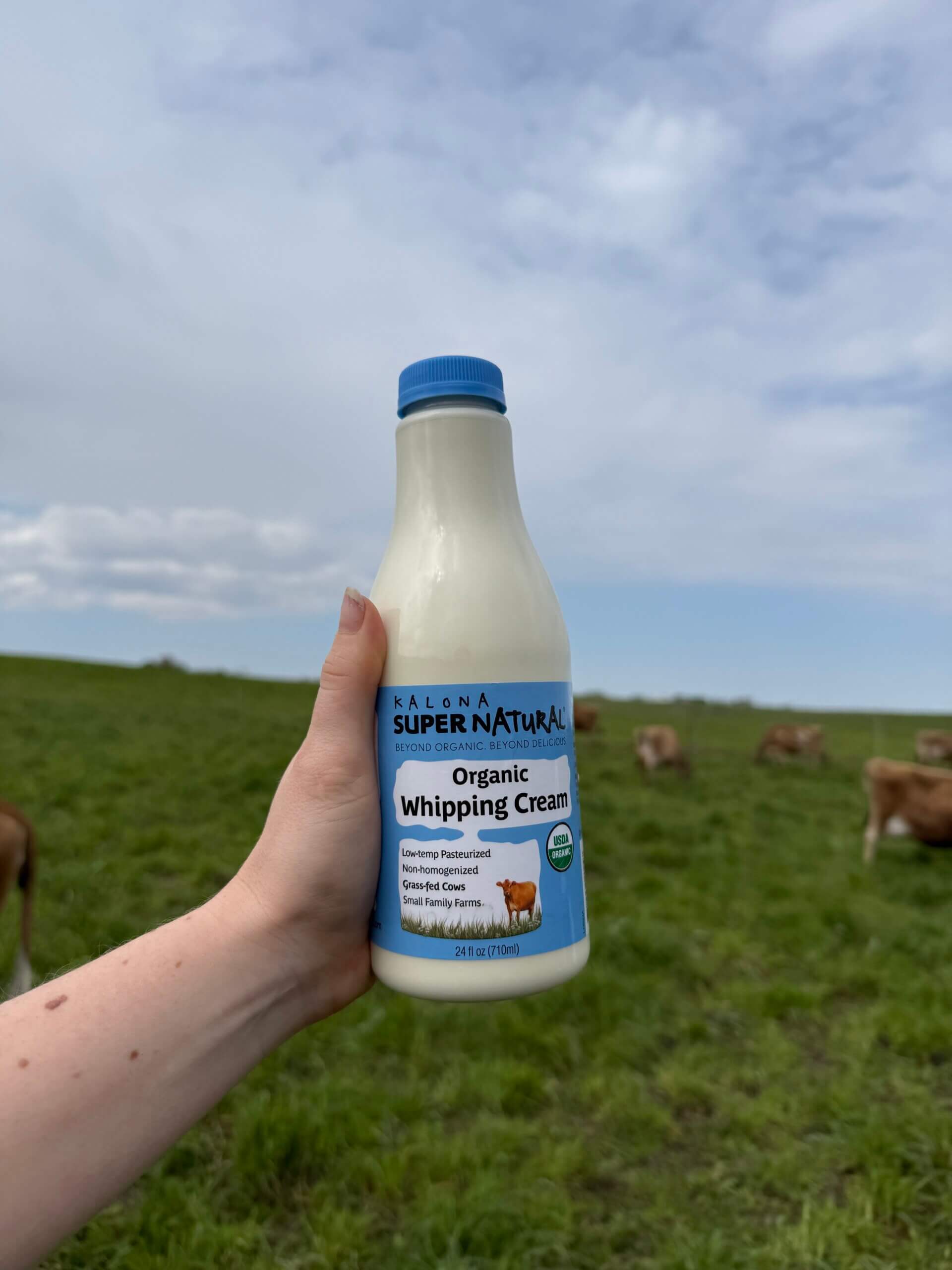 Holding Organic Whipping Cream
