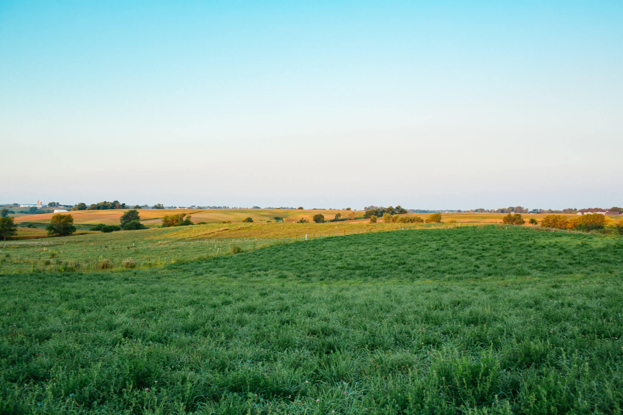 organic farming