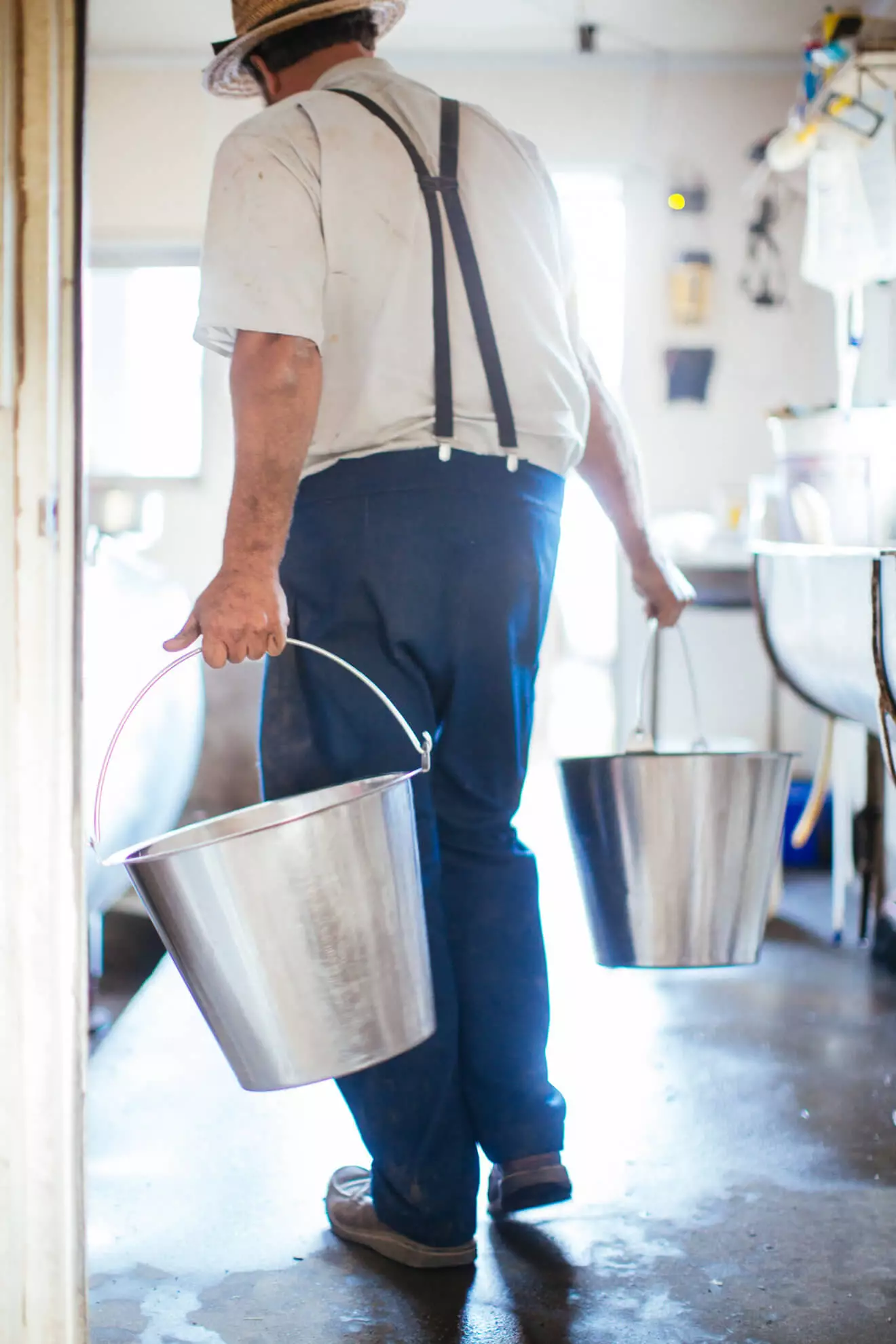 Kalona Amish Farmer