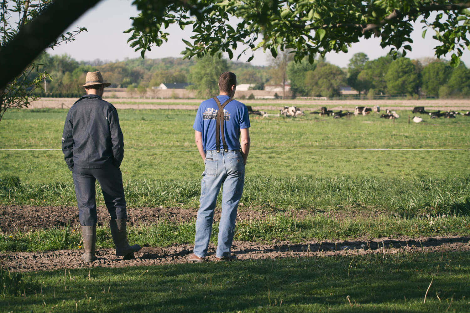 Phil and Amish Farmer