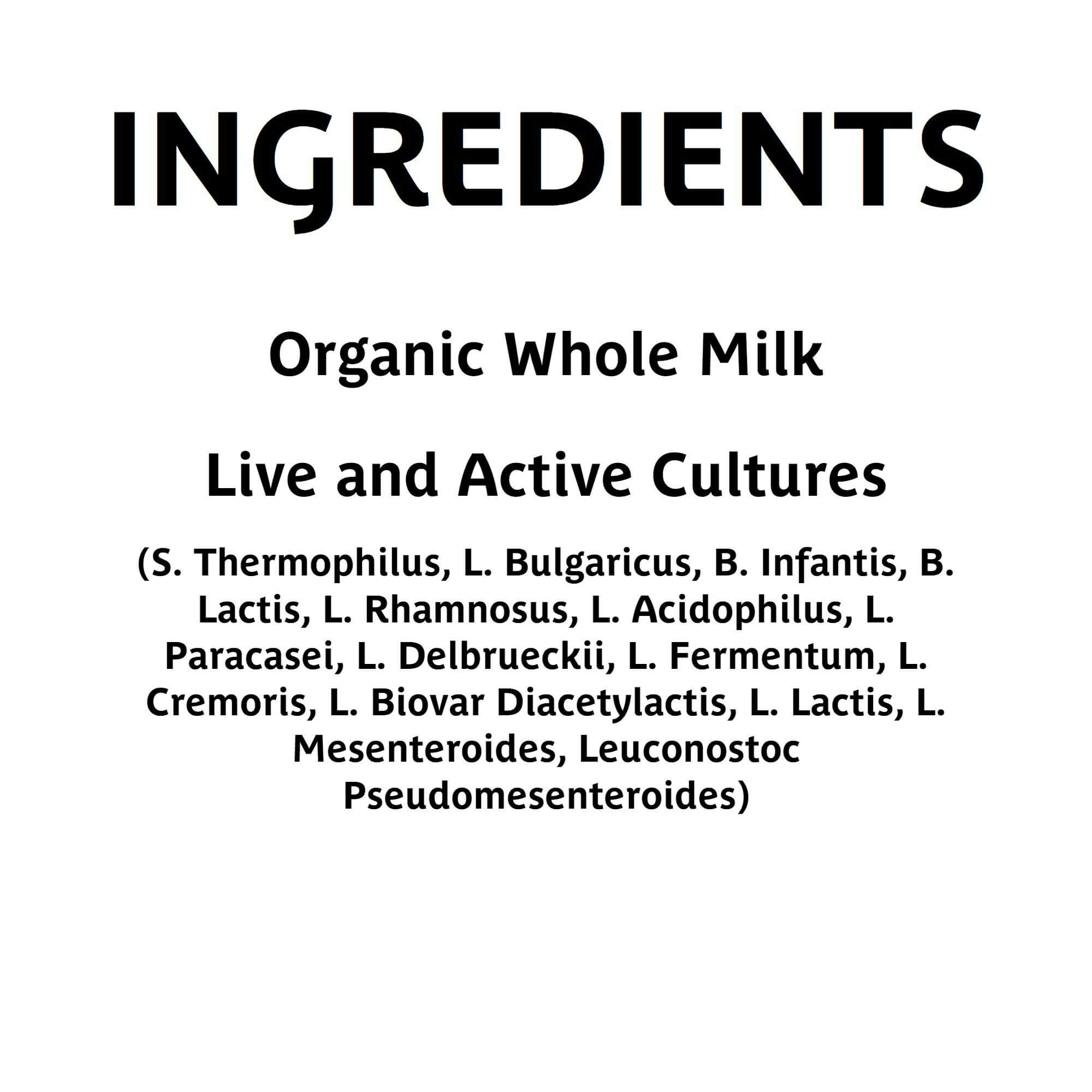 Fresh Organic Kefir Grains – Microbiota, Incorporated