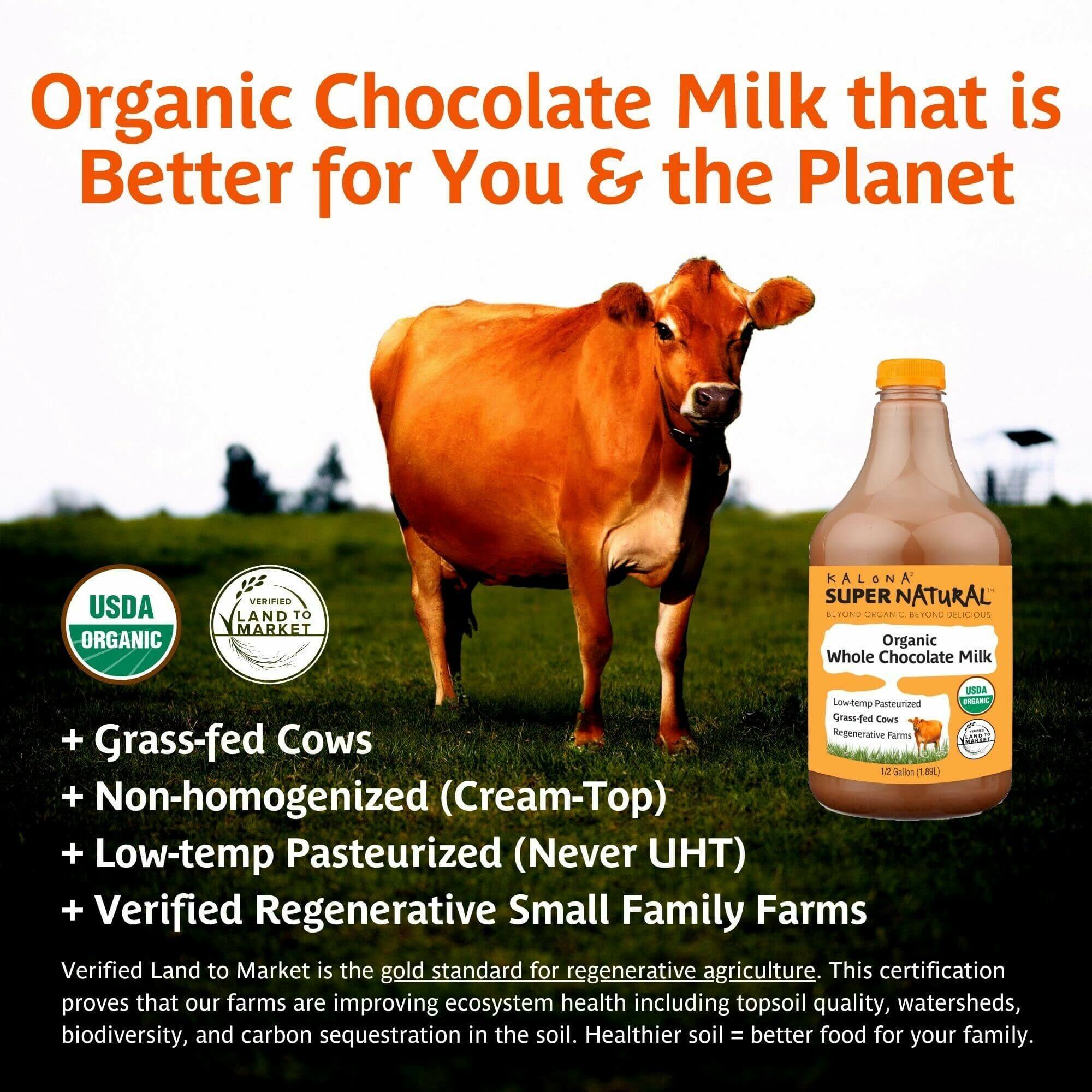 Chocolate Milk Plastic Pint - Purity™ Dairy