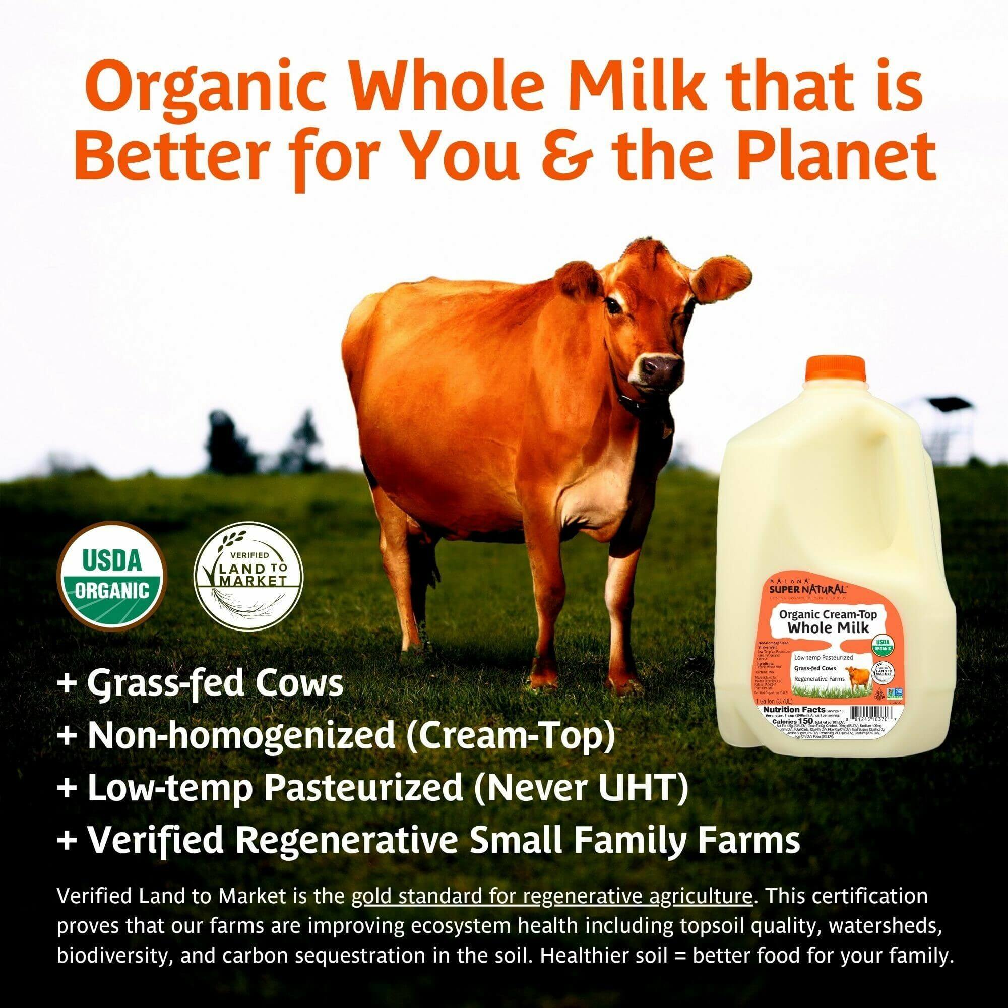 Organic Whole Milk, Cream Top