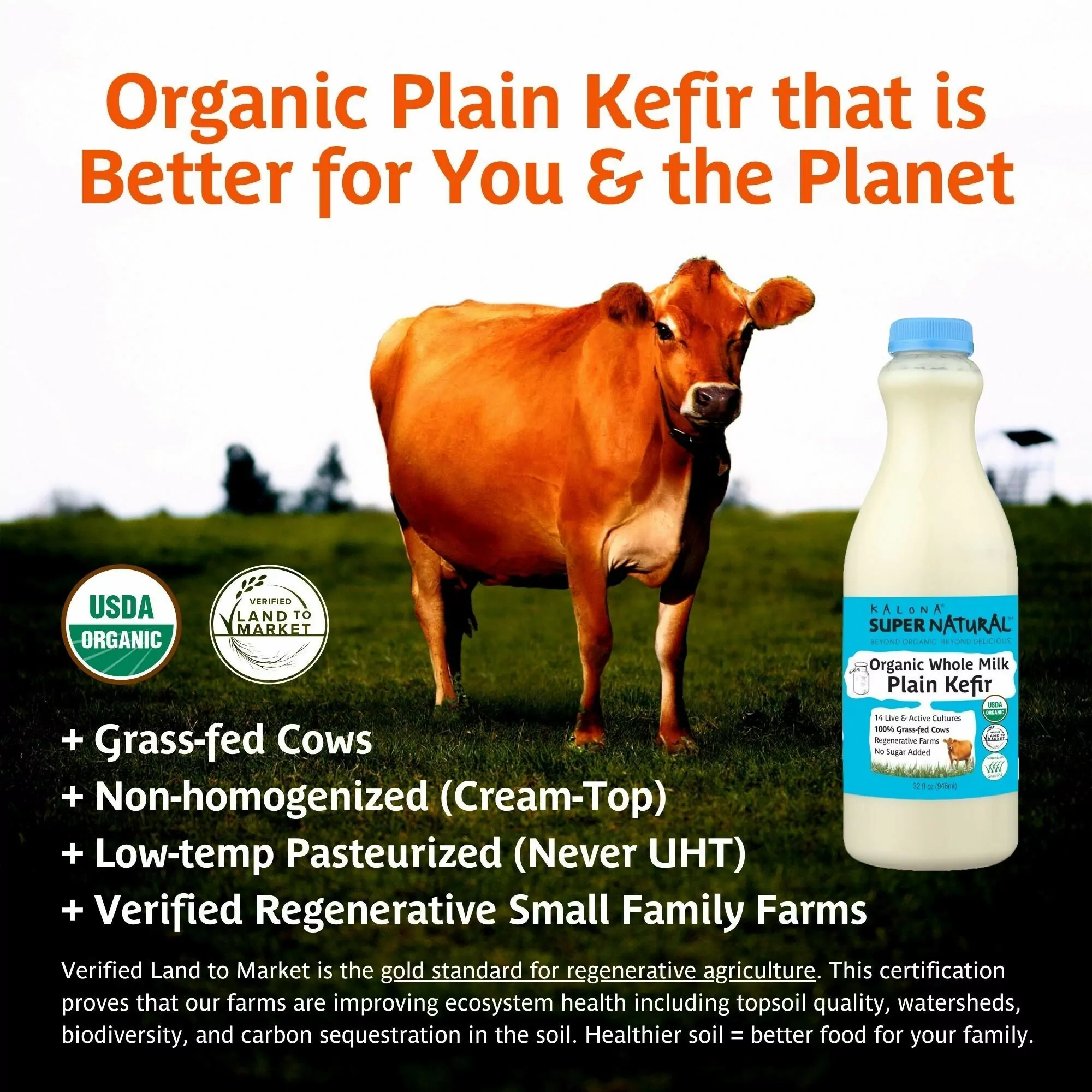 The Truth About Grass-Fed Milk Versus Organic