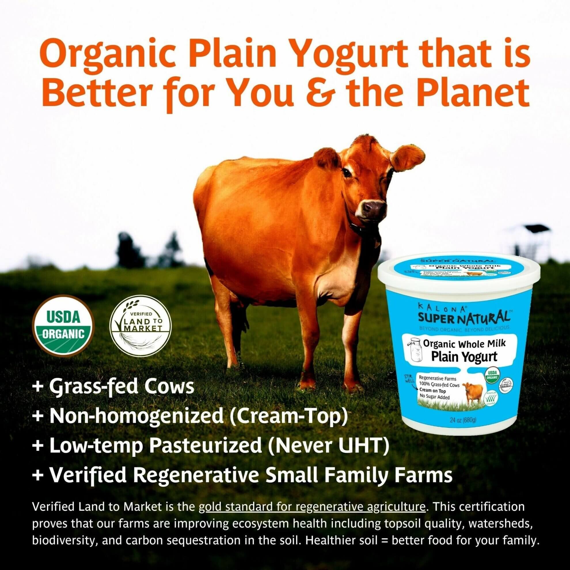 Organic Whole Milk Plain Yogurt | Kalona SuperNatural