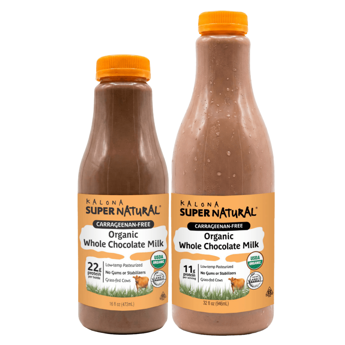 Organic Whole Chocolate Milk