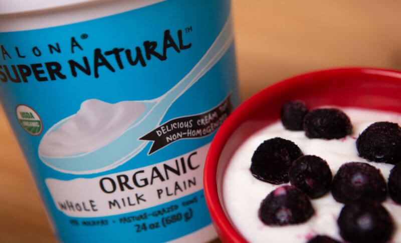 organic whole milk plain yogurt