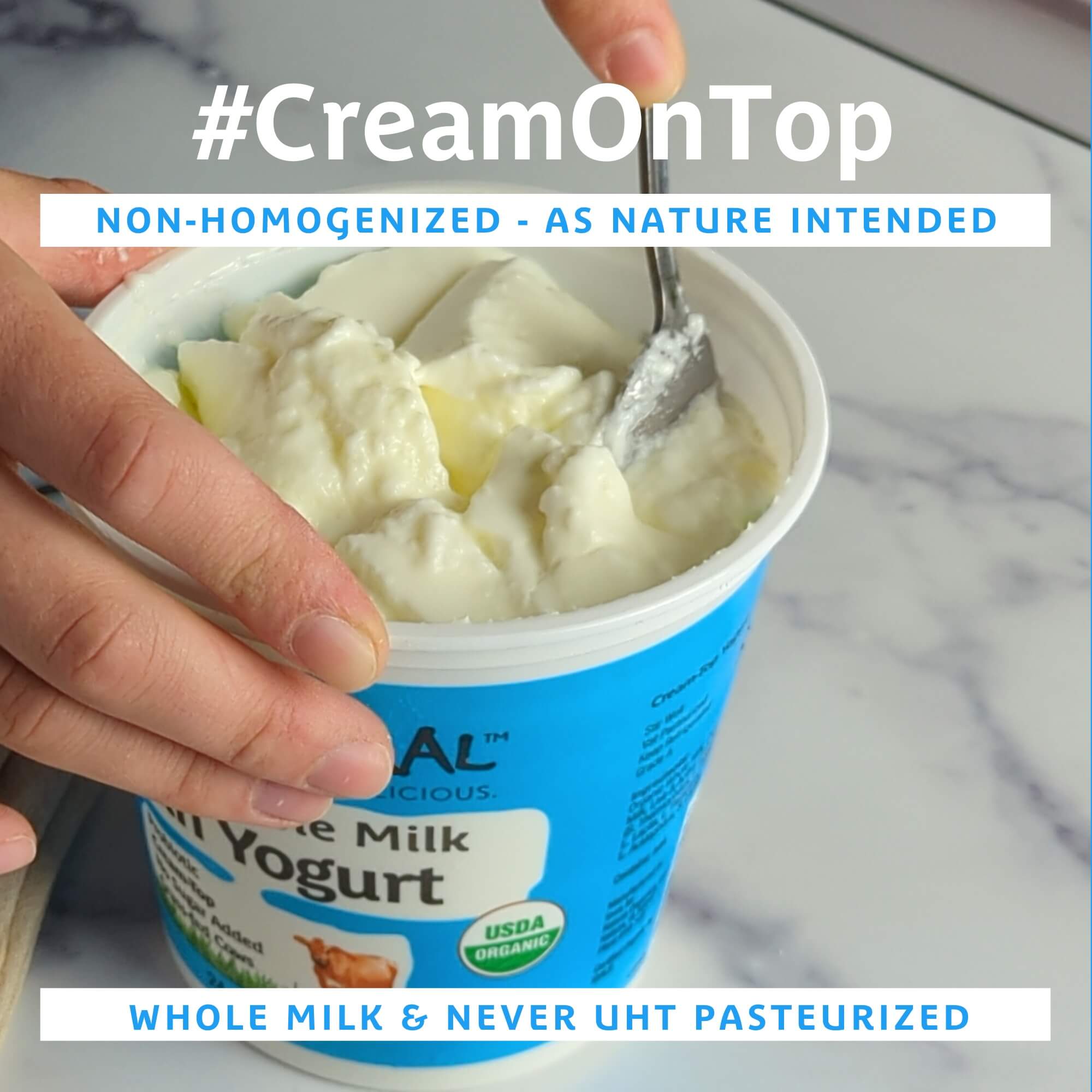 ornament Footpad Absay Non-Homogenized Cream Top Milk vs Homogenized Milk | Kalona SuperNatural